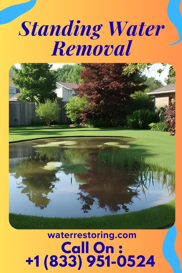 Standing Water Removal in Troy, NC